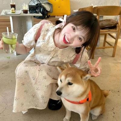 一鸣惊人